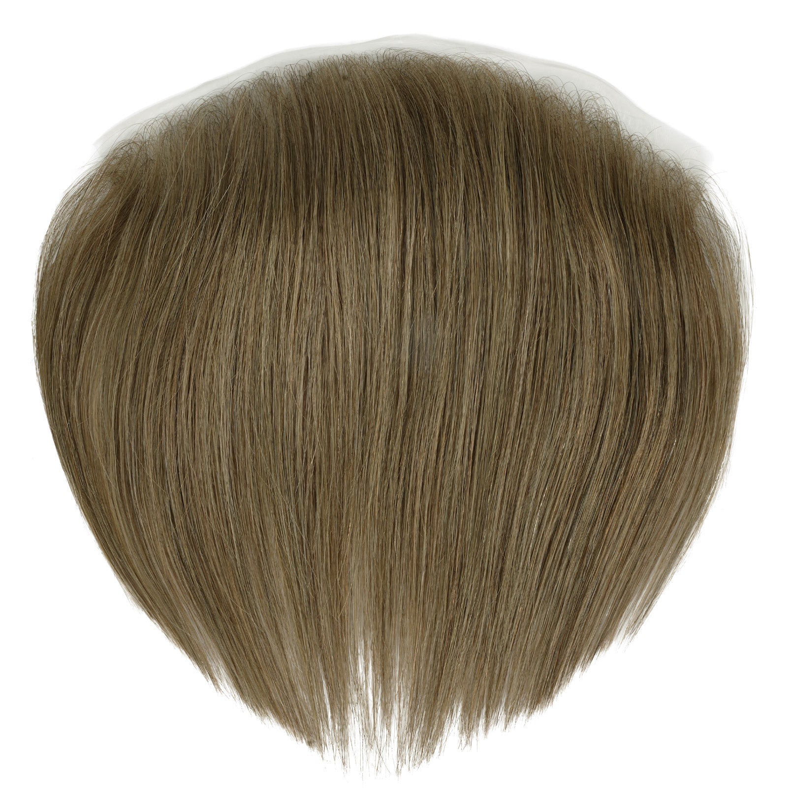 Anemone-Honey Chestnut