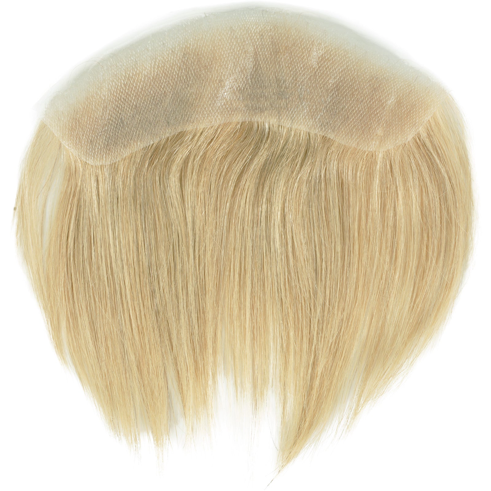 Anemone-Sunlit Blonde
