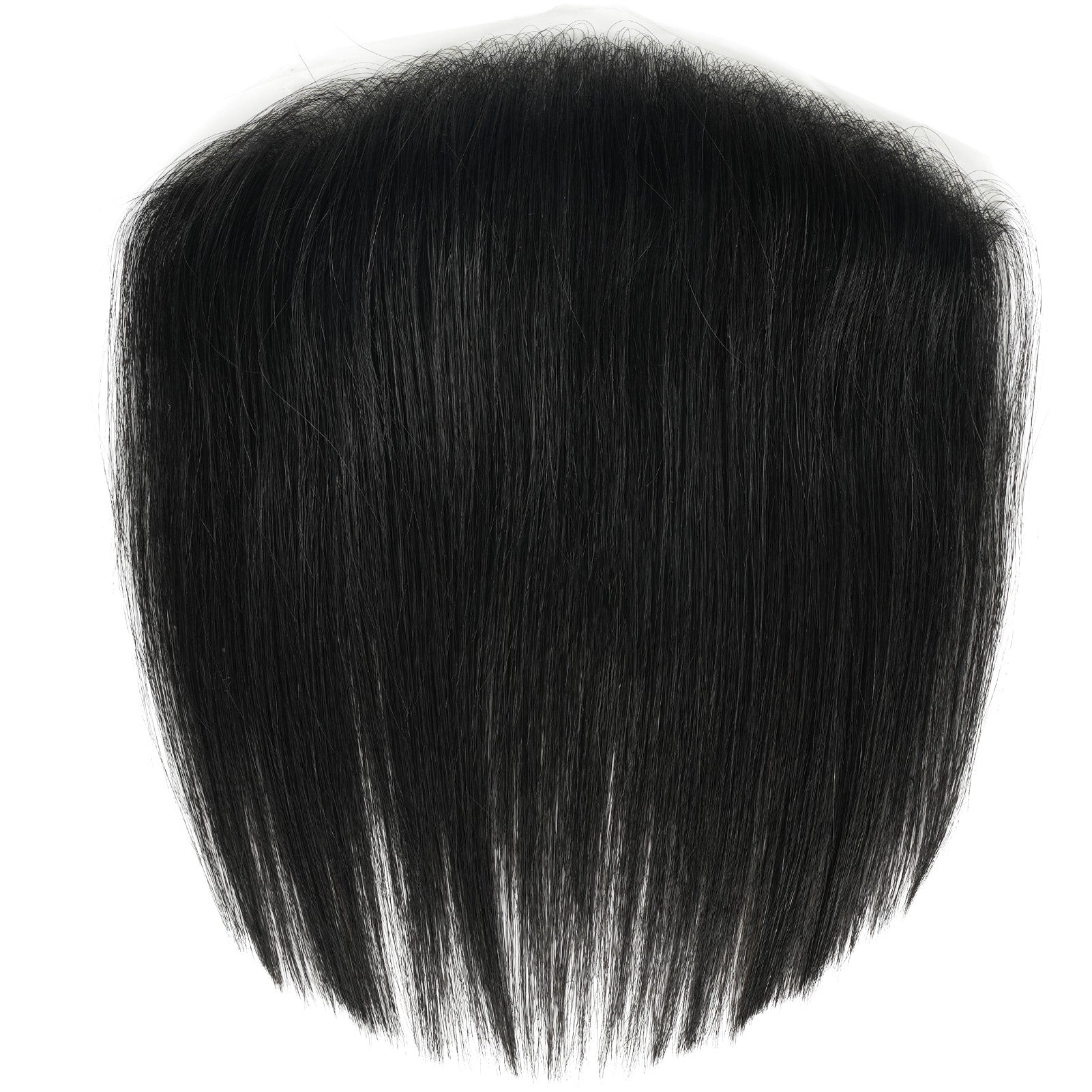 Anemone-Shadow Black