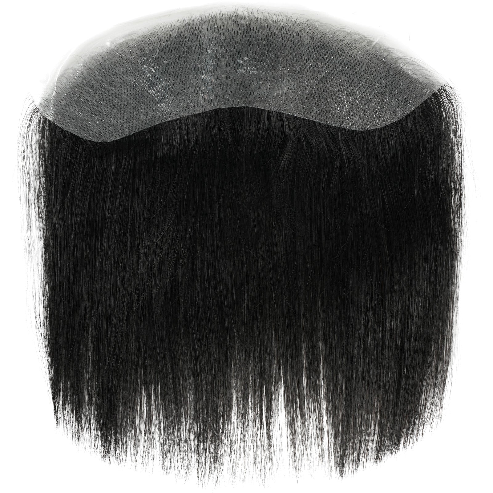 Anemone-Shadow Black