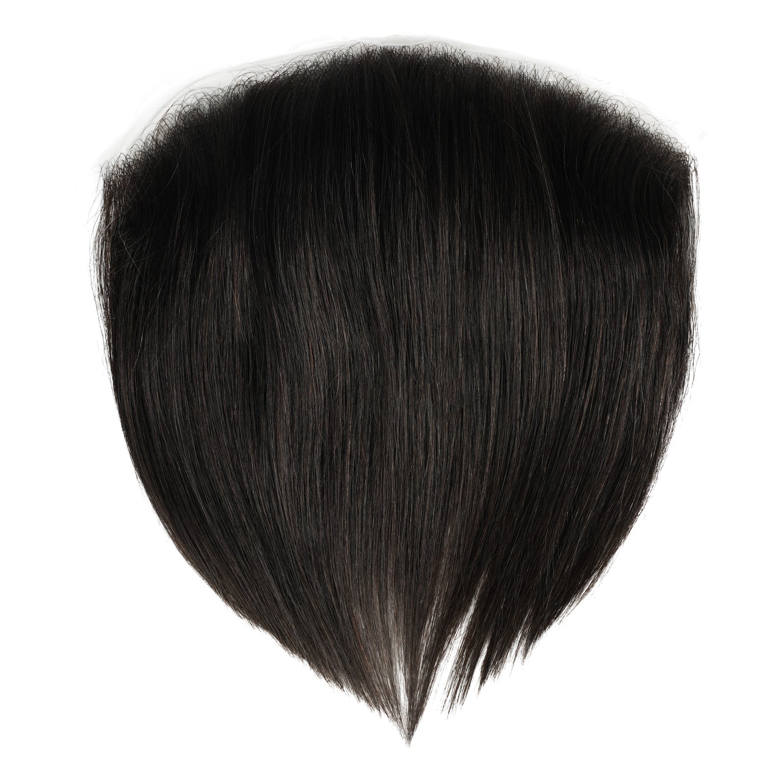 Anemone-Ebony Black