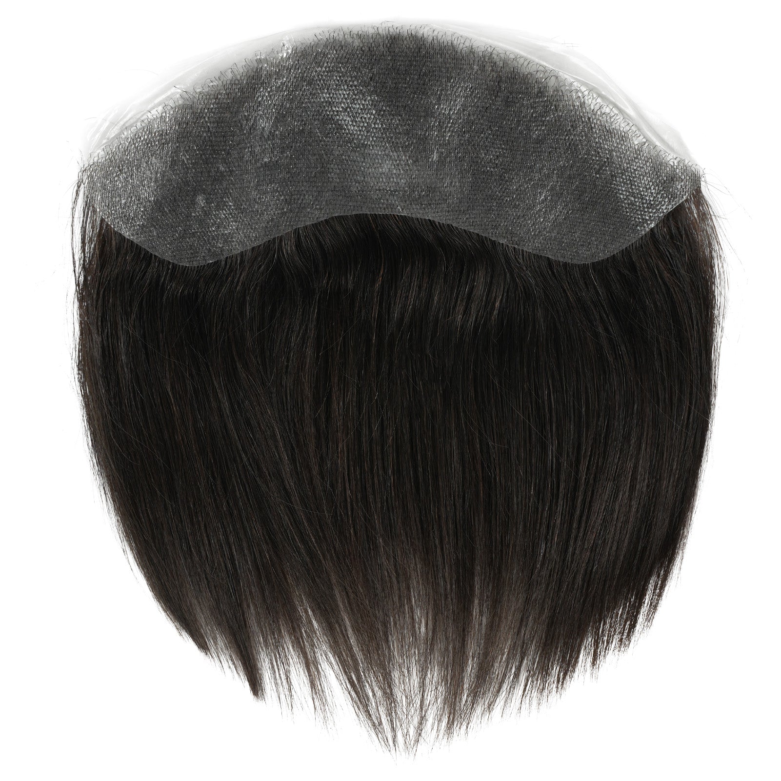 Anemone-Ebony Black